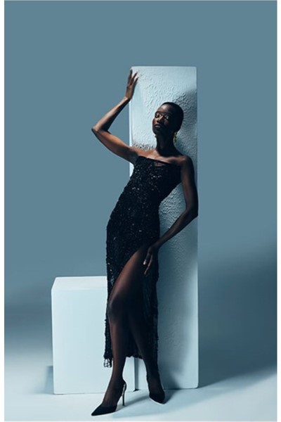 slit transparent couture dress with net embroidery detail, slit transparent couture dress with net embroidery detail
